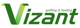 Vizant